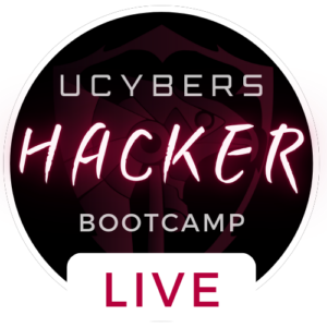 التدريب المباشر